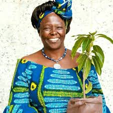 Article : Journée mondiale de l’environnement : In memoriam Wangari Maathai